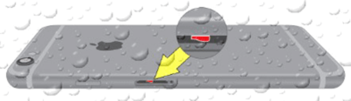 Чистка IPhone после попадания воды Чистка IPhone после попадания воды