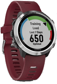 Ремонт Garmin Watch